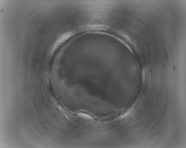 X0000066121405200603171742