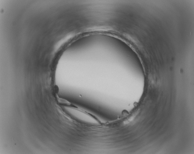 X0000066121406200603171742