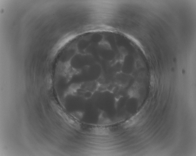 X0000066121407200603171742