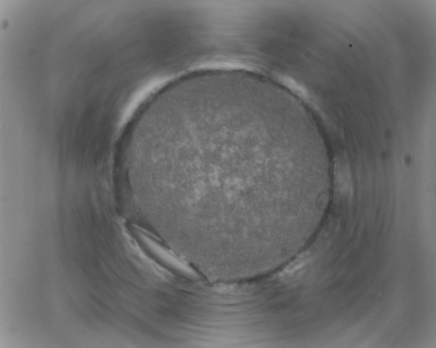 X0000066121408200603171742