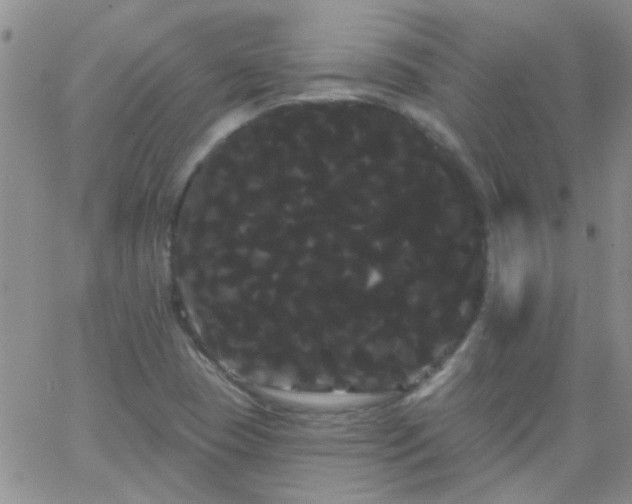 X0000066121409200603171742