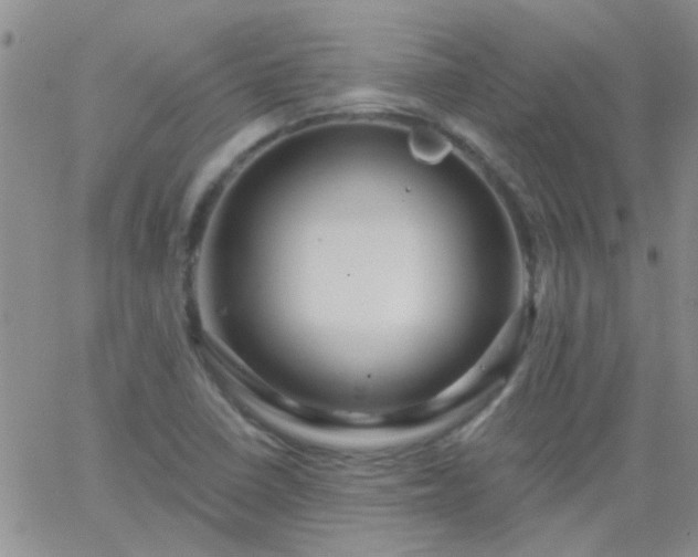 X0000066121410200603171742