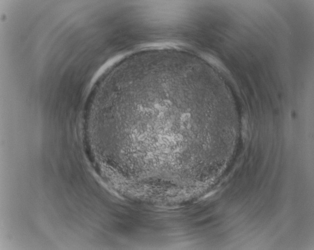 X0000066121412200603171742