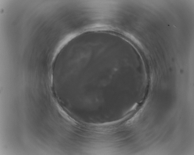 X0000066121413200603171742