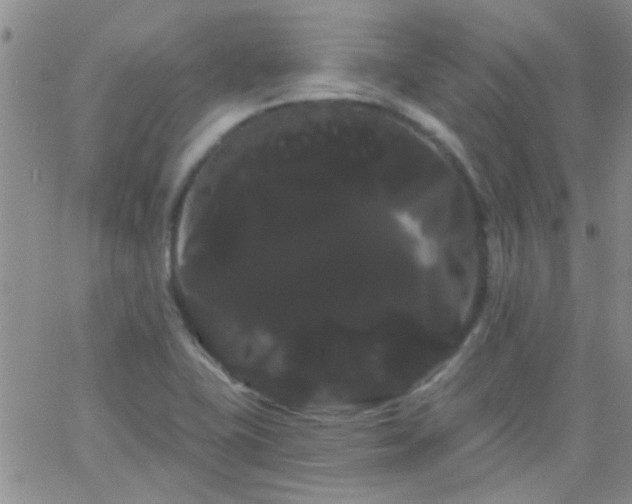 X0000066121415200603171742