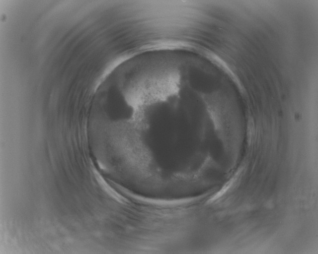 X0000066121417200603171742