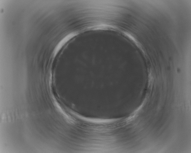 X0000066121418200603171742