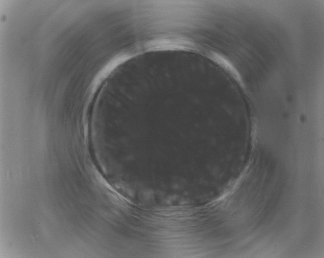 X0000066121419200603171742