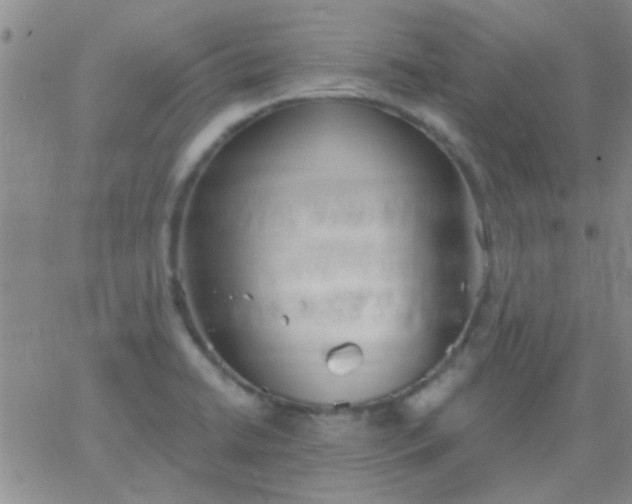 X0000066121422200603171742