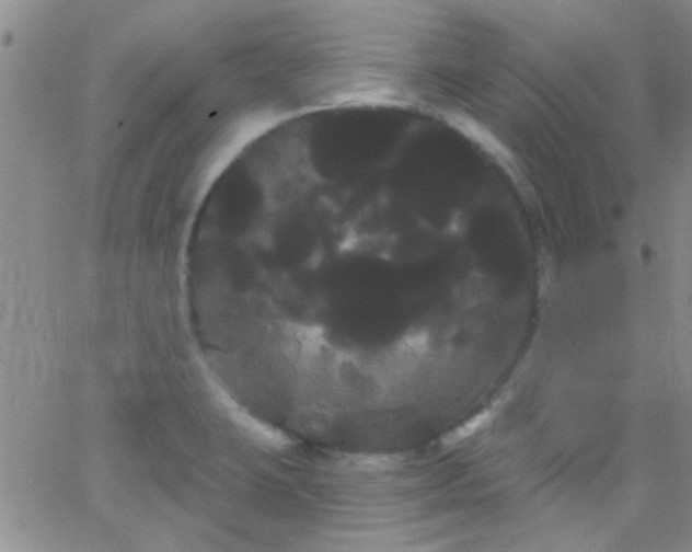 X0000066121423200603171742