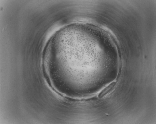 X0000066121424200603171742