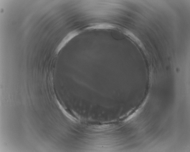 X0000066121425200603171743