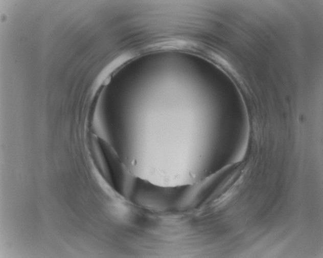 X0000066121426200603171743