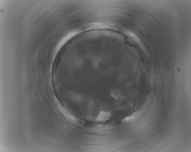 X0000066121427200603171743