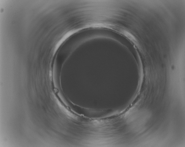 X0000066121428200603171743