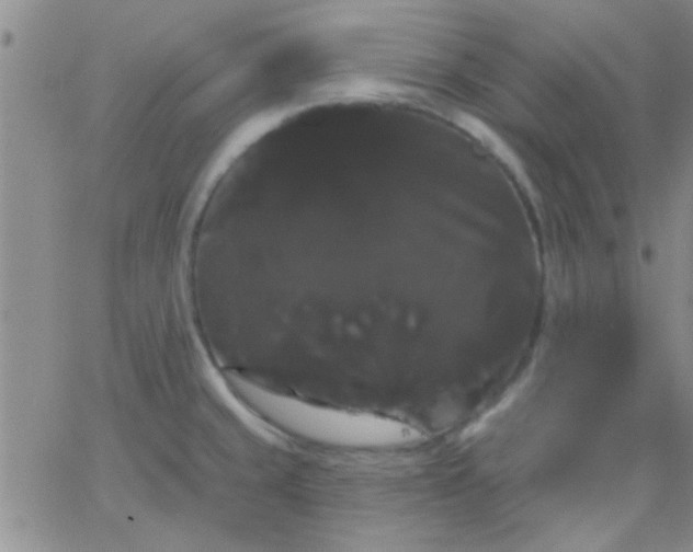 X0000066121429200603171743