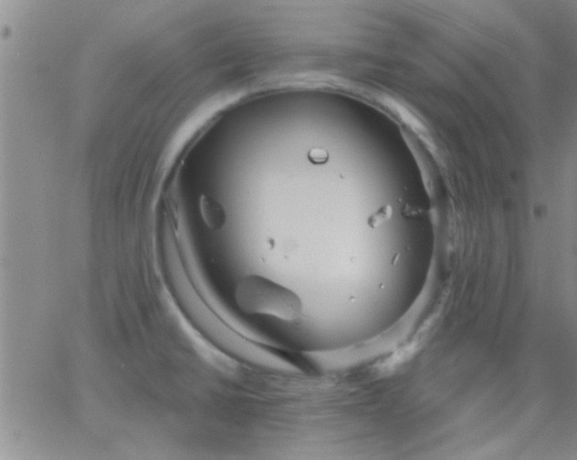 X0000066121430200603171743