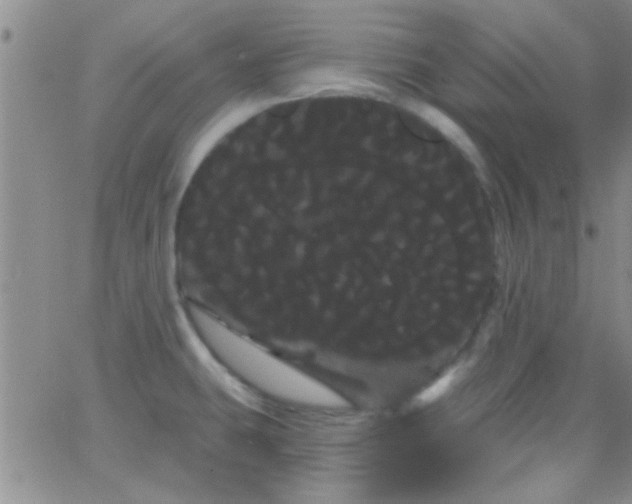 X0000066121431200603171743