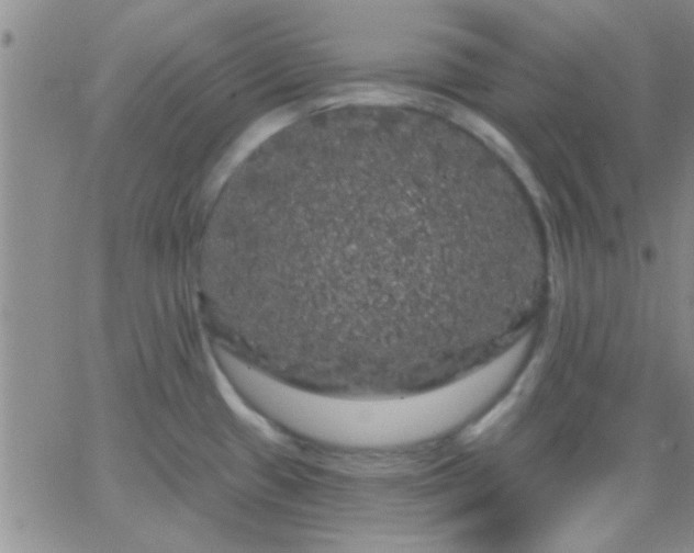 X0000066121433200603171743