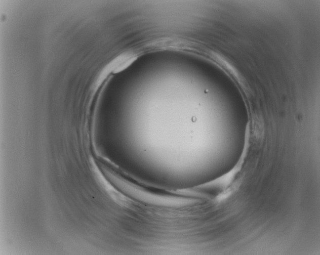 X0000066121434200603171743