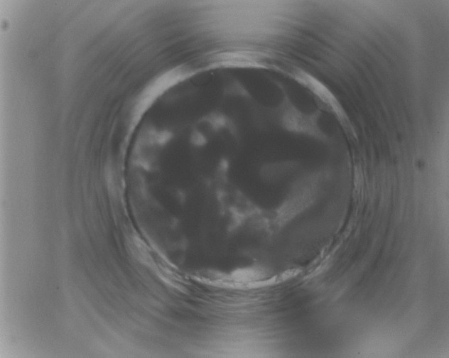 X0000066121435200603171743