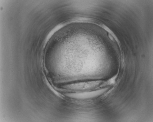 X0000066121437200603171743