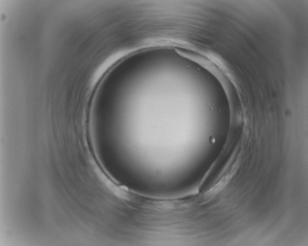 X0000066121438200603171743