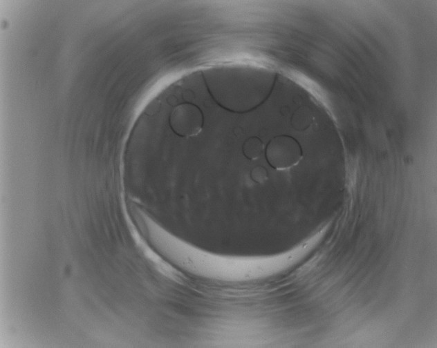 X0000066121439200603171743