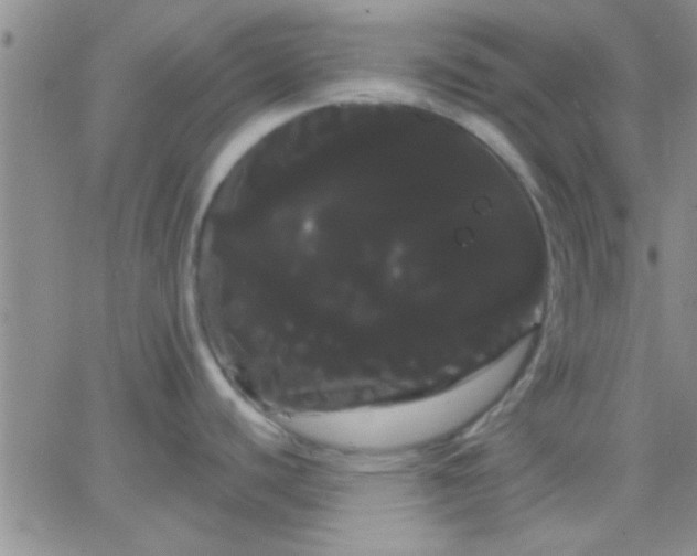 X0000066121440200603171743