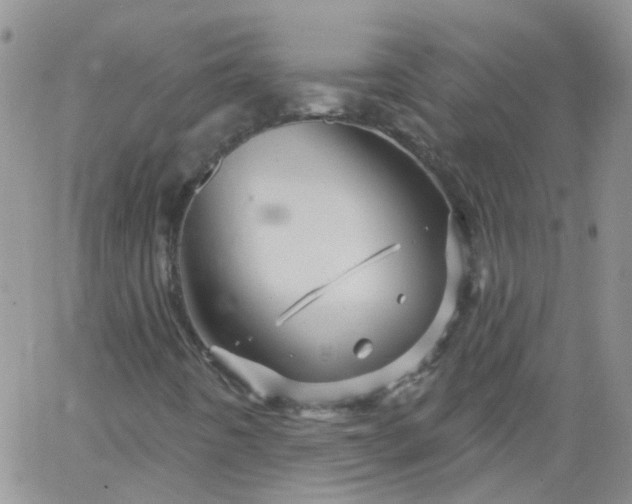 X0000066121442200603171742