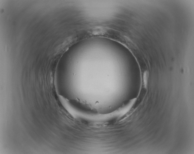 X0000066121443200603171742