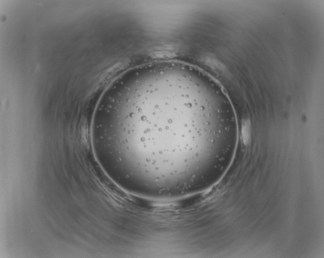 X0000066121444200603171742