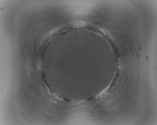 X0000066121445200603171742