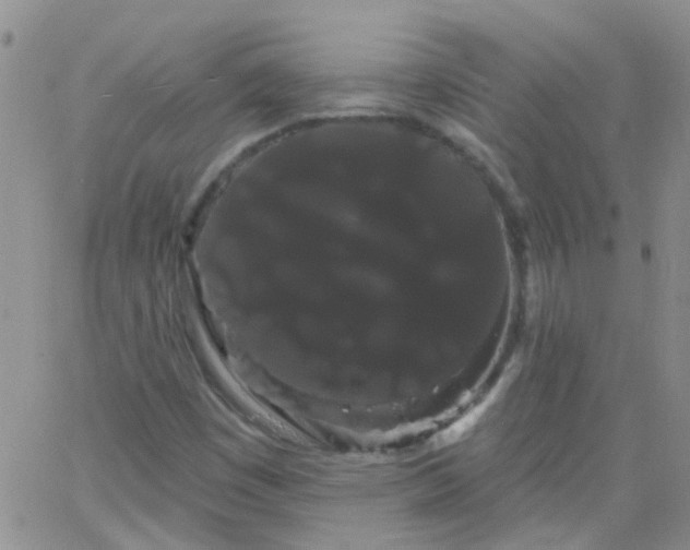 X0000066121449200603171742