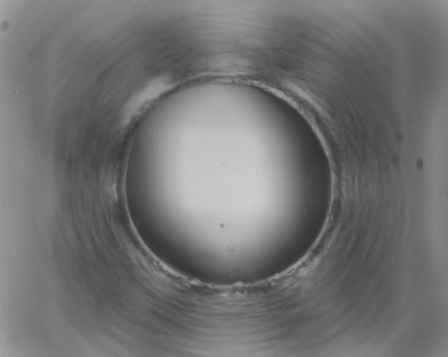 X0000066121451200603171742