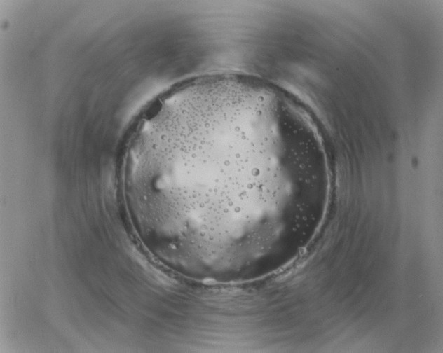 X0000066121452200603171742