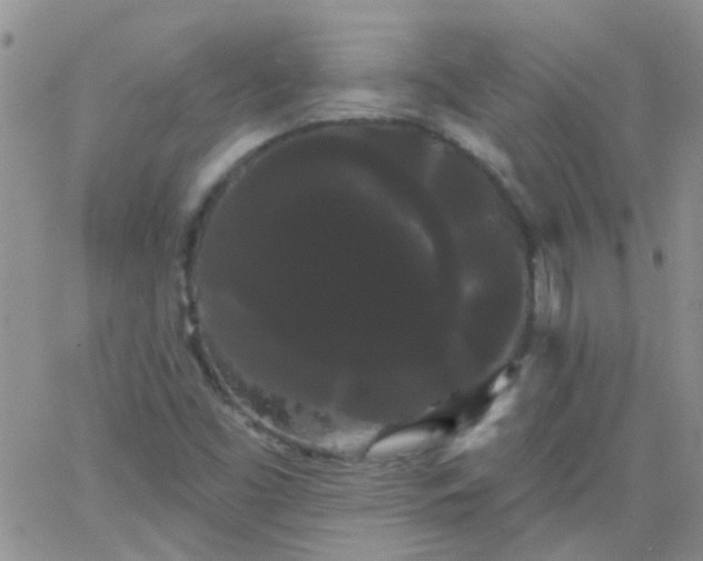 X0000066121453200603171742