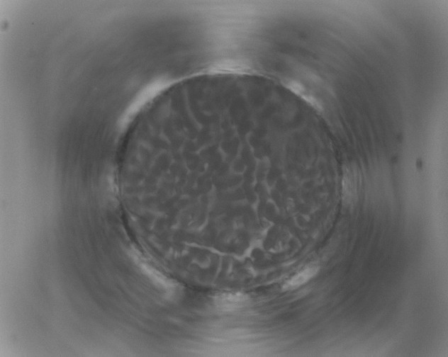 X0000066121454200603171742