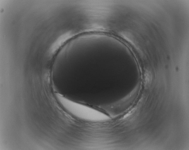 X0000066121455200603171742