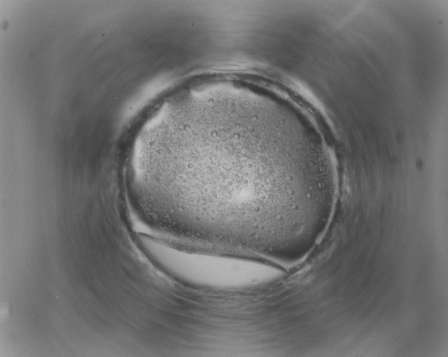 X0000066121456200603171742