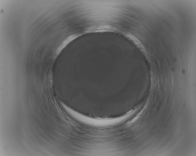 X0000066121457200603171742