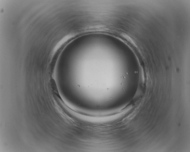 X0000066121458200603171742