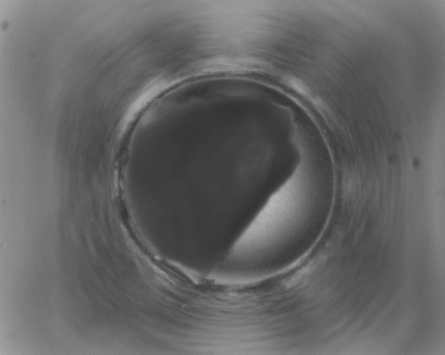 X0000066121459200603171742