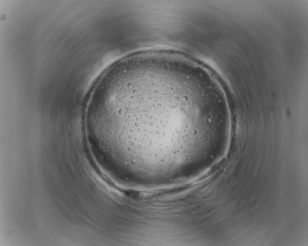 X0000066121460200603171742