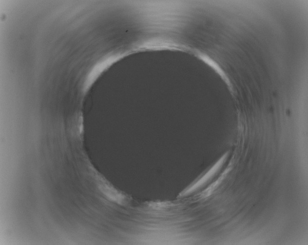 X0000066121461200603171742