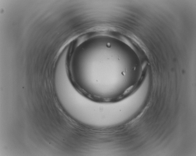 X0000066121465200603171742