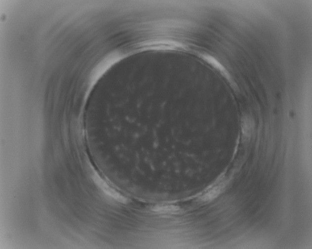 X0000066121466200603171742