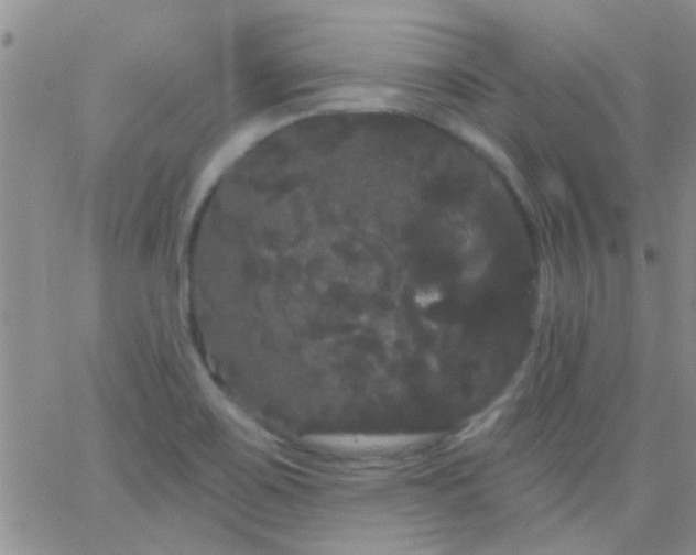 X0000066121467200603171742