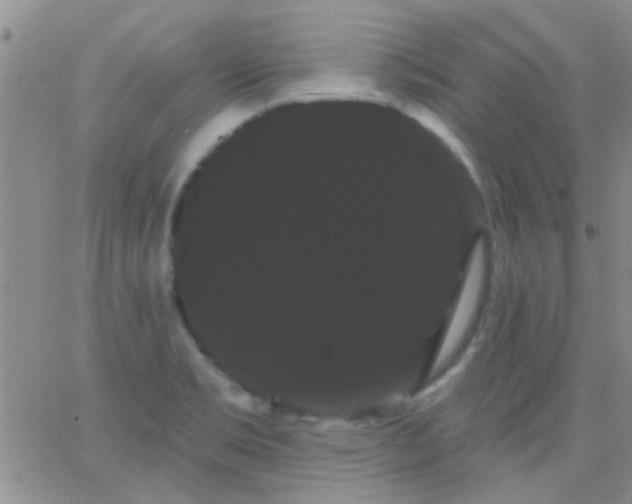 X0000066121469200603171742