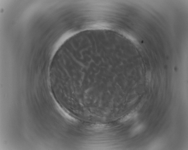 X0000066121470200603171742